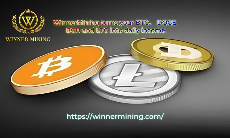 WINNER MINING launches one-click green energy mining for BTC, DOGE, BCH and LTC