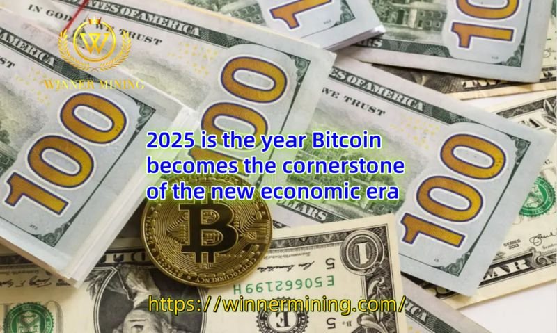 Participate in Winner Mining cloud mining, earning BTC is no longer a dream