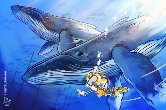 Massive OG Bitcoin whale shifts another $4.7B of BTC to new wallet