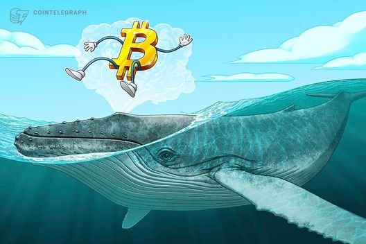 Bitcoin OGs ‘faith shaken’ comment stirs heated debate in community