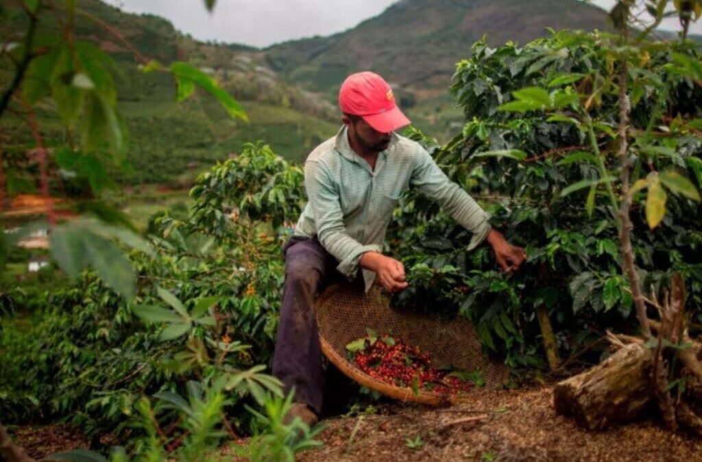 XRP Ledger Breaks into Brazil’s Private Credit Sector with $130M in Agribusiness Tokenization