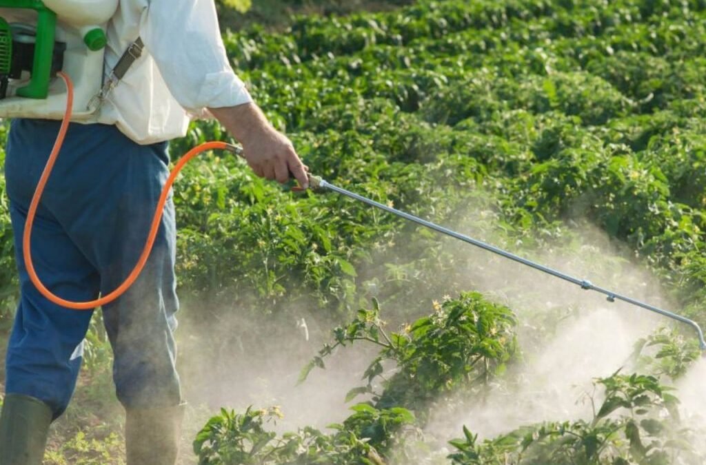 Agrochemical stock in focus after FII acquired 5,54,195 shares worth ₹30 Cr via bulk deal