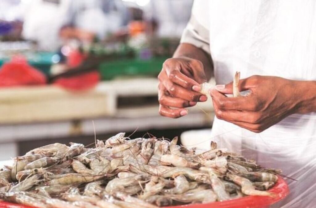 Shrimp stocks fell up to 6% after US President Donald Trump imposes 50% tariff on India