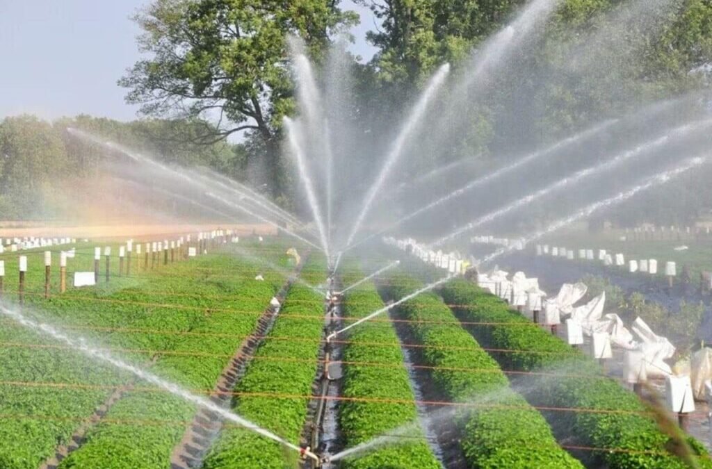 Water management stock under ₹50 in focus after receiving ₹135 Cr order from Maharashtra Govt