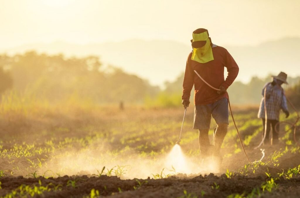 Fertilizer stock in focus after promoter buys stake worth ₹177 Cr via bulk deal