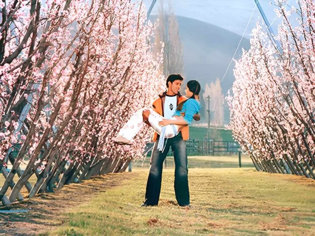 Movie - Main Prem Ki Diwani Hoon - Image