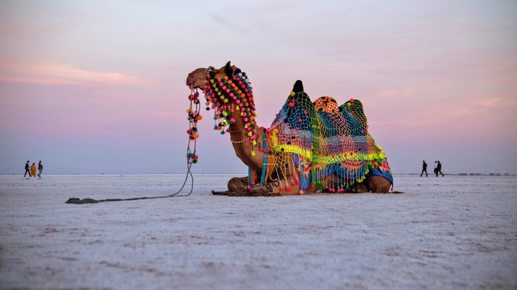 Rann of Kutch, Gujarat - Image
