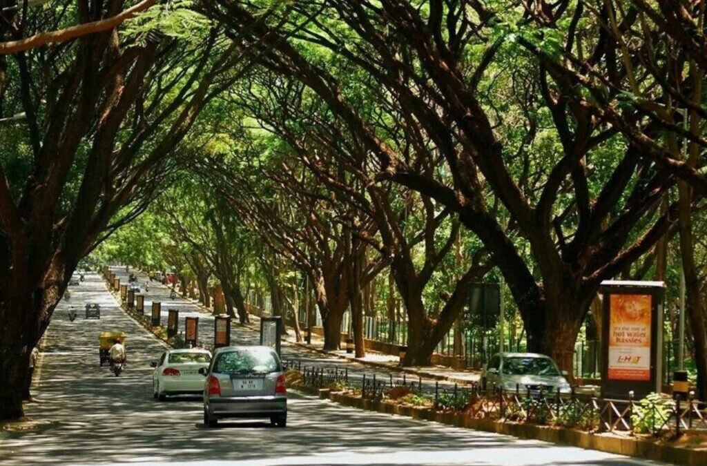 Top Reasons Behind the Rising Popularity of 2BHK and 3BHK Apartments in Jayanagar – Here’s Why