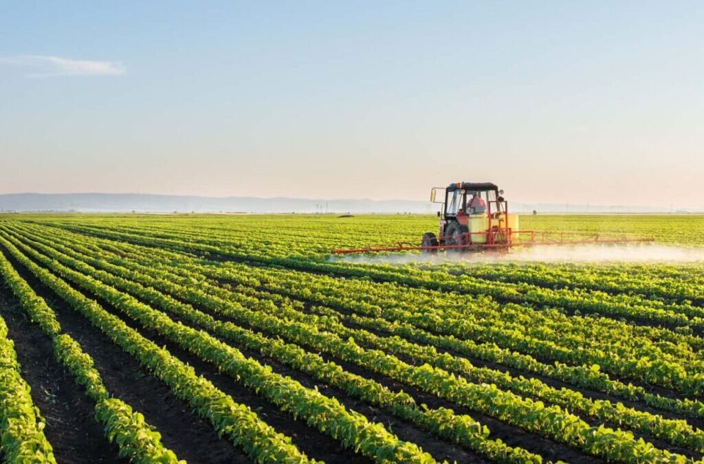 1:10 Bonus & Split: Stock jumps 5% after board approves bonus issue and share split