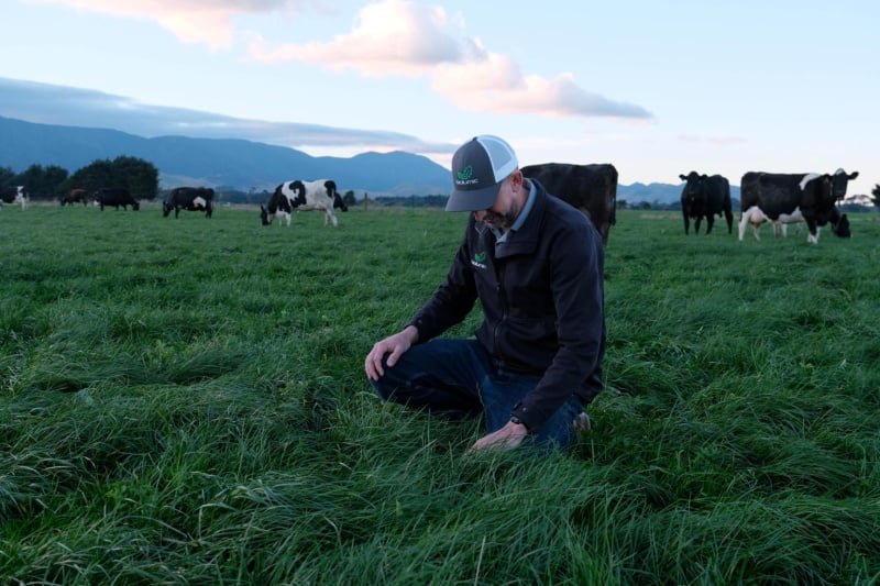 Fonterra and BioLumic Partner to Bring Light-Activated Seed Traits to New Zealand Dairy Systems