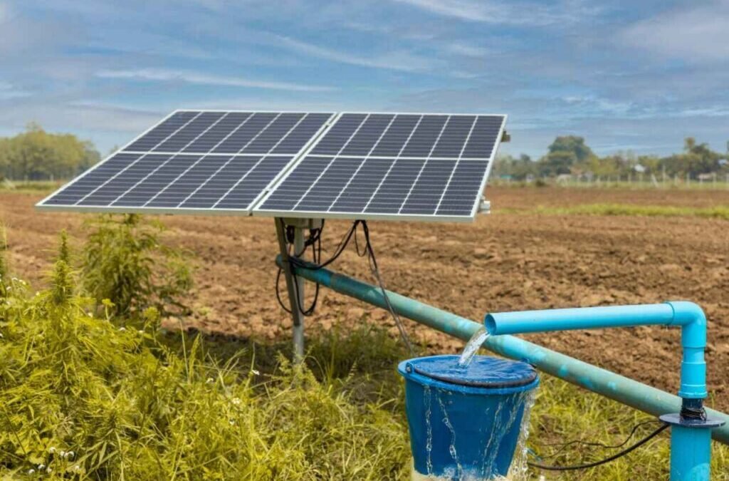 Market leader stock in focus after receiving order for solar PV pumping systems from MPUVNL