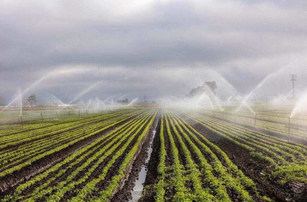 Irrigation stock jumps 7% after announcing strong Q2 results