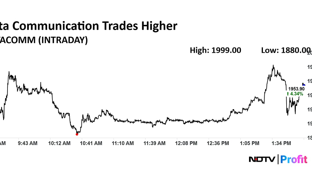 Q2 Results Live: HDFC AMC Profit Dips; Tata Communications Revenue Rises 6.5%