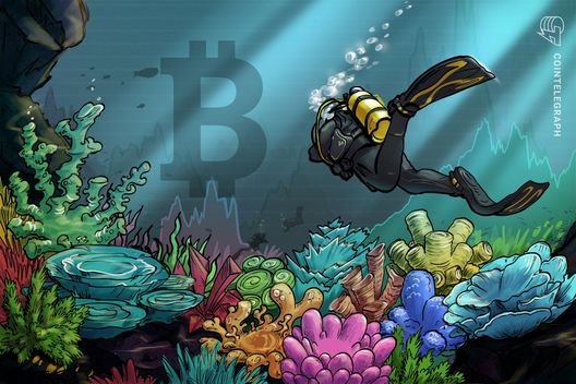 Bitcoin price bottom due ‘this week’ with BTC down 20% in November