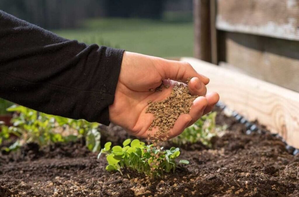 Penny stock jumps 16% after its subsidiary ventures into bio fertilisers business