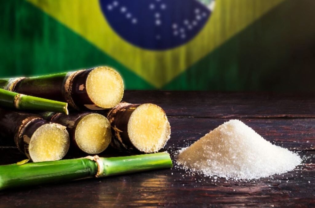 Balrampur Chini and 4 other sugar stocks jump 5% today; Here are the 3 main reasons