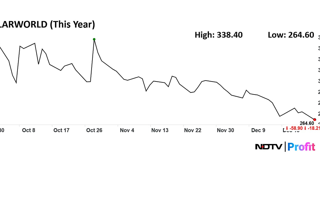Solarworld Energy Wins Rs 725-Crore Order From NTPC Renewable