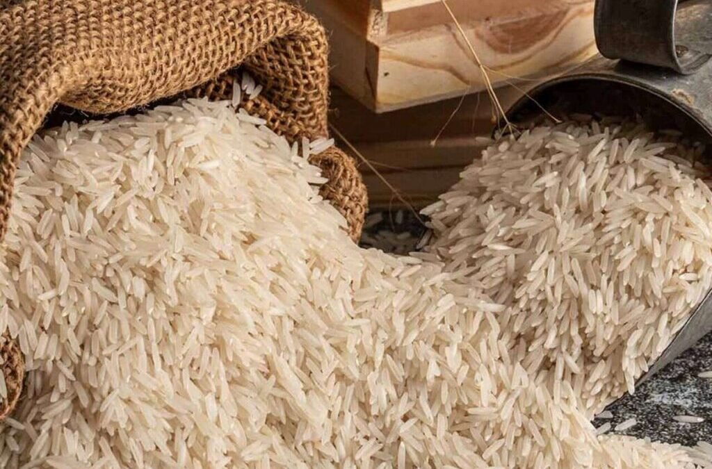 Rice stock jumps 10% after receiving approval for ₹197 Cr basmati project backed by JK Govt