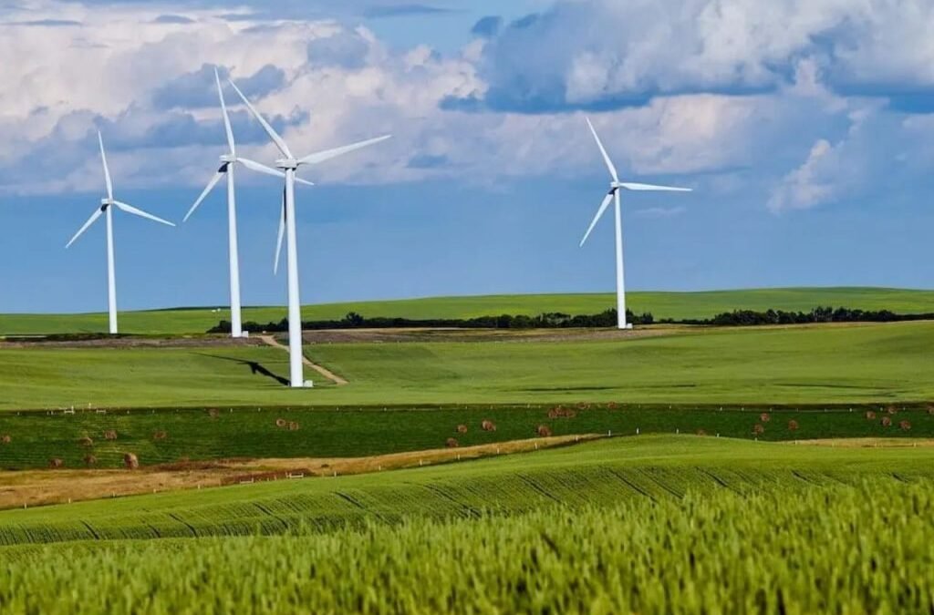 Explained: Why Waaree Energies shares are trading at 25% discount?