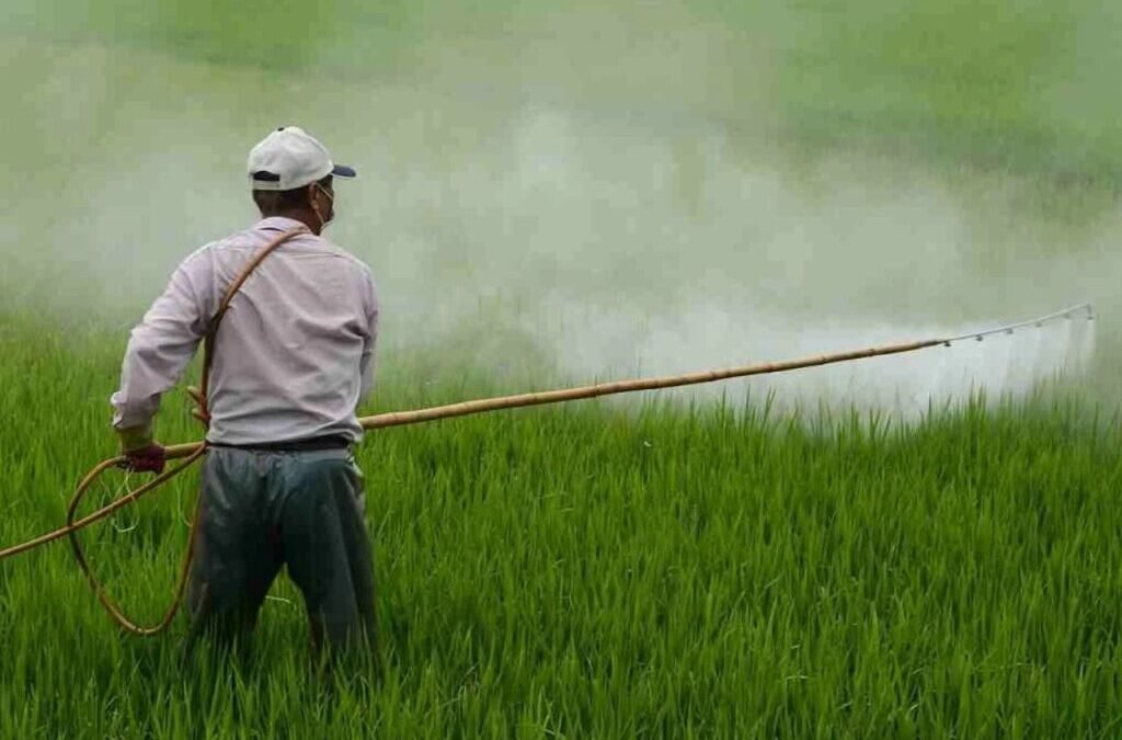 Why did India Pesticides stock jump 12% today? Here is everything you need to know