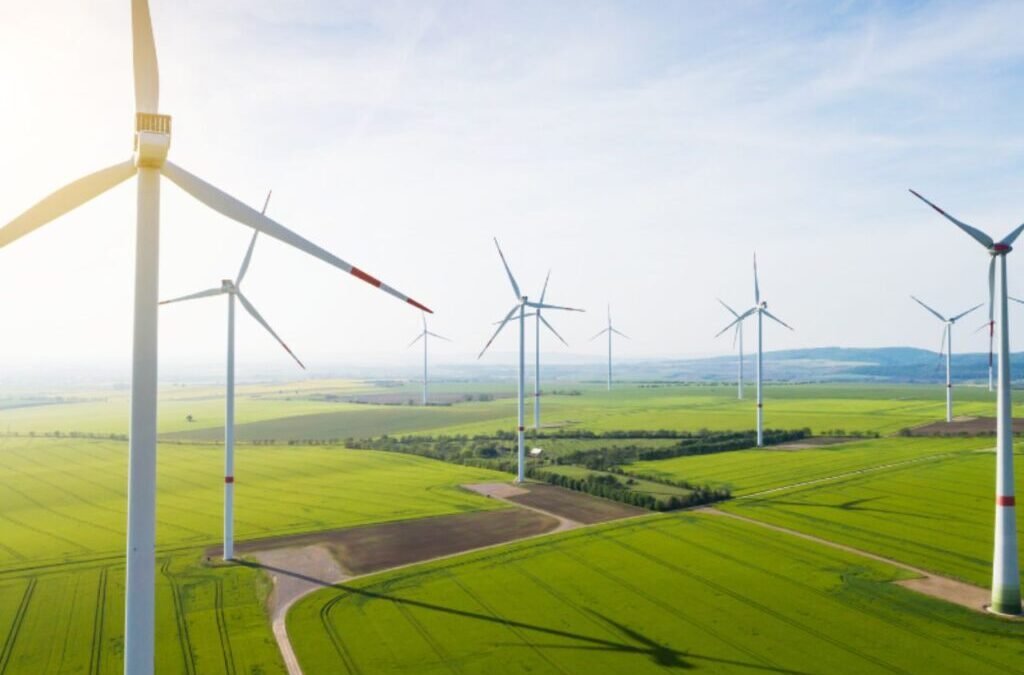 Green energy stock jumps after receiving ₹489.17 Cr order for floating solar project