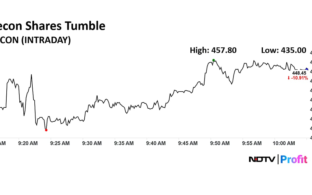 Elecon Engineering Shares Slump Over 13% After Revenue Guidance Cut
