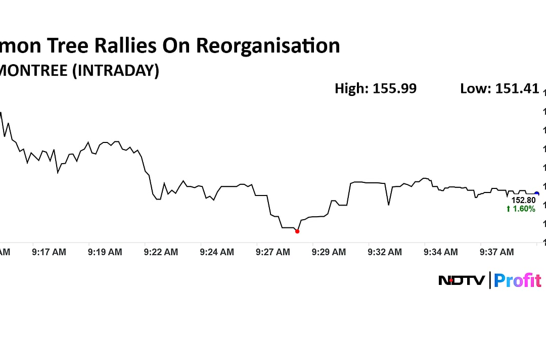 Lemon Tree Shares Rally On Sale Of Arm Fleur To Warburg Pincus