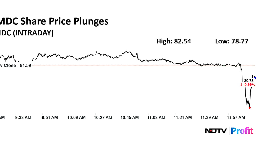 NMDC Stock Price Dips Post Fixed Iron Ore Price Announcement