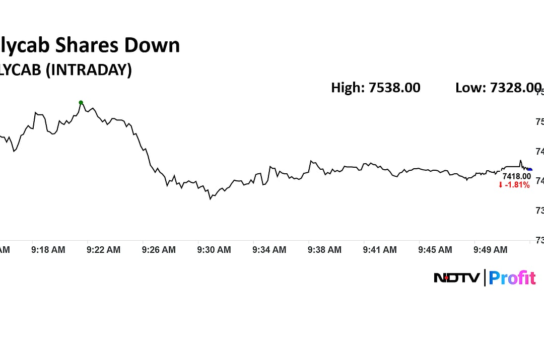 Polycab Share Price Extends Decline For Fifth Session Amid Large Deal