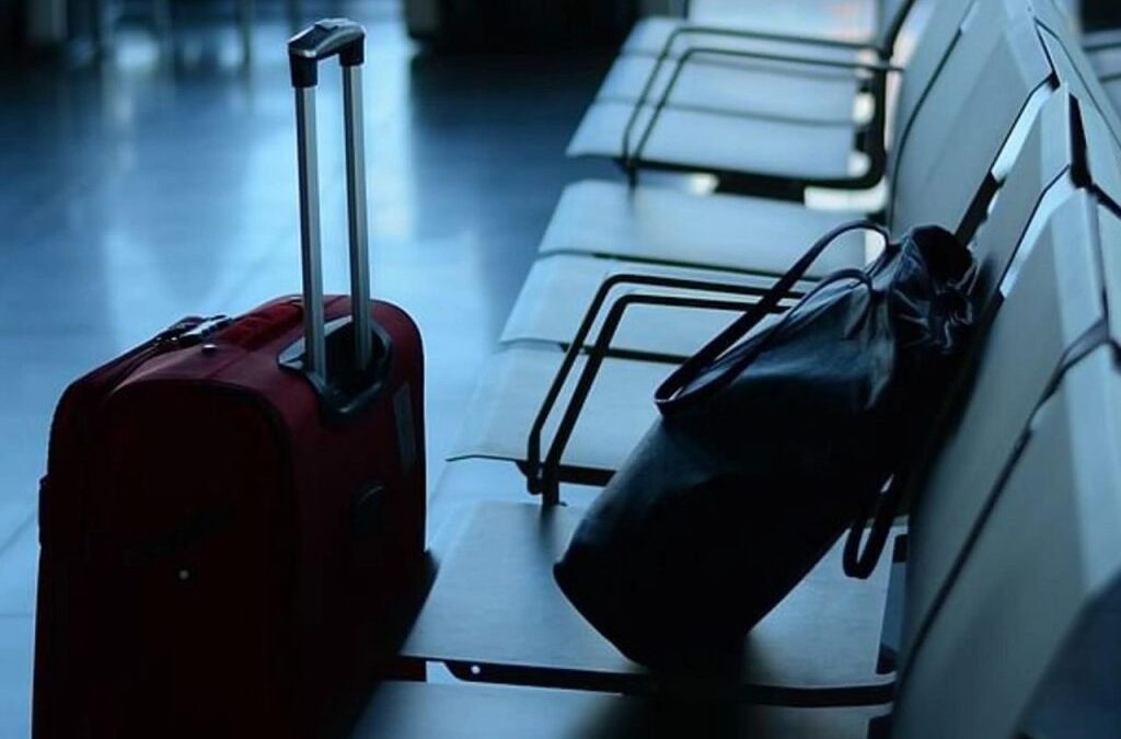 Why Is Safari Industries Profitable While Market Leader VIP Industries Struggles?