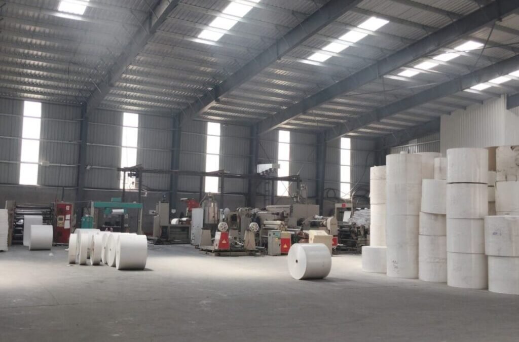 Paper stock jumps 13% after achieving ₹122.45 Cr sales milestone for 9MFY26