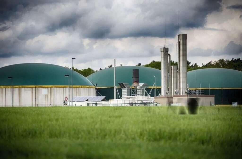 Stock held by Shahrukh Khan in focus after receiving contract for compressed biogas project