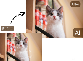 The Asset Hygiene Advantage: Why Clean Libraries Create More Content