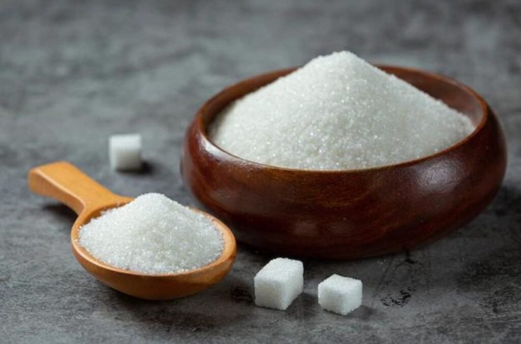 Best Sugar sector Stocks in India cover image