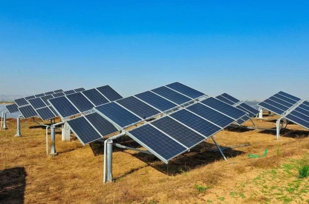 Premier Energies, 3 Other Stocks With Order Books Up to ₹60,000 Cr in Q3 to keep a watch on