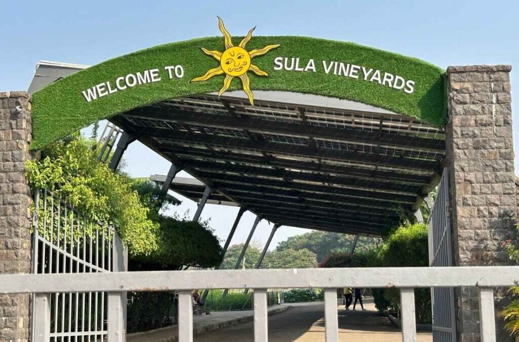 Sula Vineyards Shares Fall 5% Despite Reporting 51% QoQ Increase in Net Profit; Here’s Why