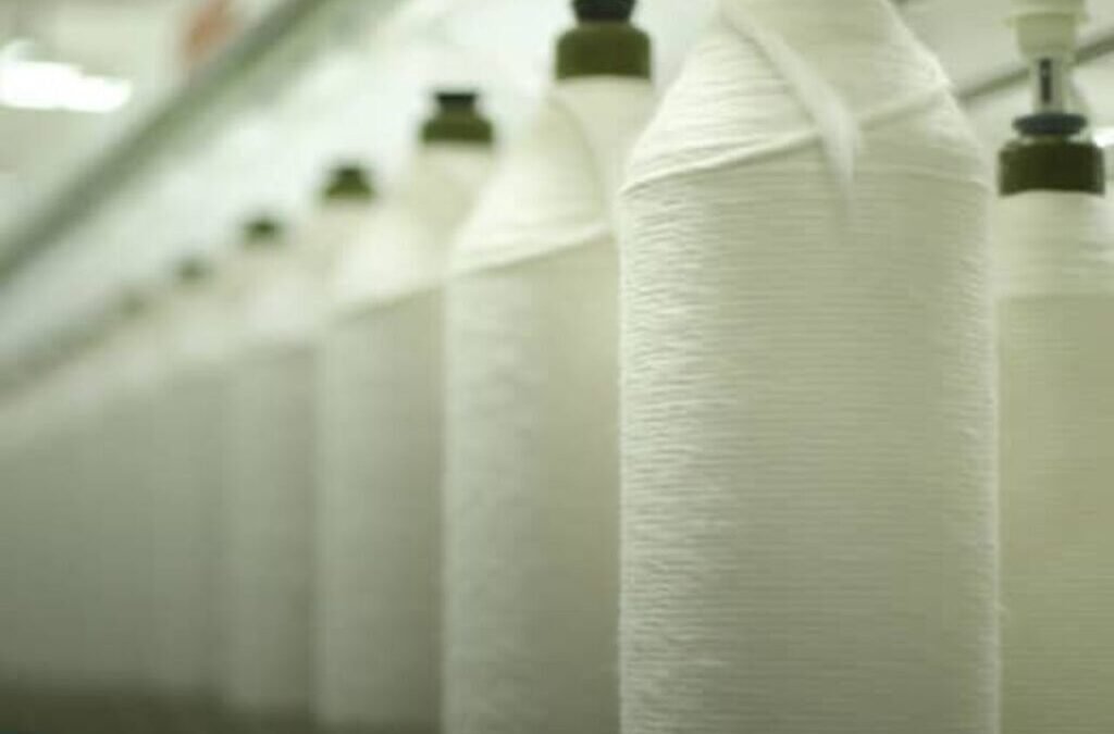 2 Textile stocks under ₹50 jump after reporting net profit growth of up to 250% YoY