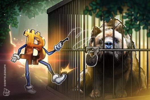Bitcoin bears ‘annihilated’ as analysis sees $65K support test next