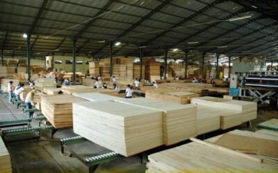 Plywood Manufacturing Stock with 29% Market Share Targets ₹12,000 Cr Revenue