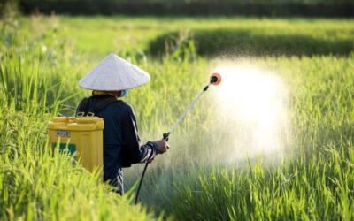 PI Industries: Can New Molecules Drive Growth Despite Agrochemical Weakness?